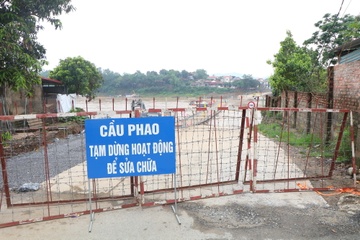 Cắt khẩn cấp cầu phao Phong Châu