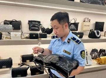 Bi phat hon 110 trieu dong khi ban tui Chanel, LV, Gucci 'dom' hinh anh