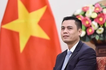 Ong Dang Hoang Giang tiep tuc giu chuc Thu truong Bo Ngoai giao hinh anh