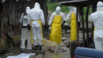 8 bac si, nha bao bi danh chet khi dap dich Ebola o Guinea hinh anh