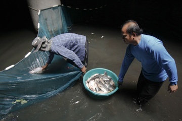 Giang luoi bat ca trong sieu thi bo hoang o Bangkok hinh anh