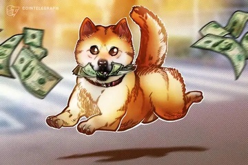 Nguoi dan ong Anh nghi viec cham con nho dau tu vao Shiba Inu hinh anh