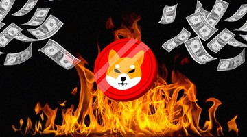 Hon 1,2 ty Shiba Inu vua bi dot hinh anh