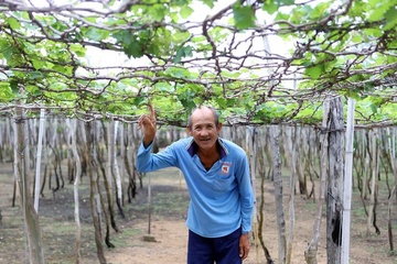 Nguoi dan vung dien hat nhan Ninh Thuan se duoc nhan co che dac biet hinh anh