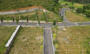 De xuat moi lien quan chuyen doi dat vuon len dat o dong thue tien ty hinh anh