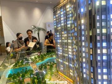 Thi truong can ho phuc hoi, luong giao dich tang dot bien hinh anh