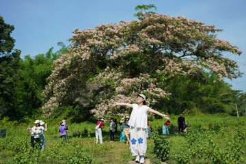 Vuon quoc gia Cat Tien qua tai hinh anh
