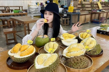 Ro tour du lich sau rieng o Dong Nam A hinh anh