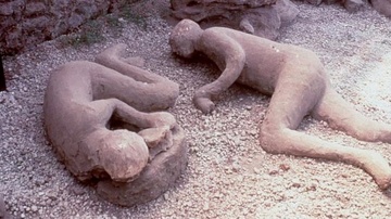Phat hien moi ve cac nan nhan tham hoa Pompeii hinh anh