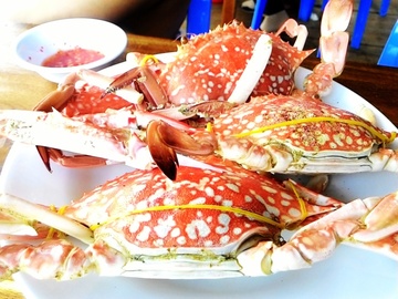 Thuong thuc hai san o lang chai Ham Ninh hinh anh