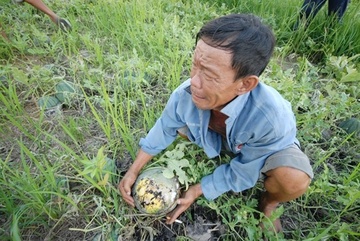 Den bao gio nguoi nong dan Viet khong phai ra dong? hinh anh