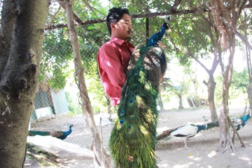 20 trieu dong mot con cong dot bien long hinh anh