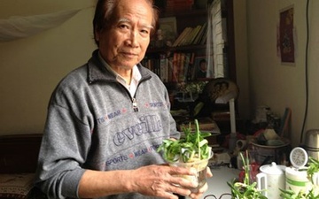 Choi hoa thuy tien thu lai khung hinh anh