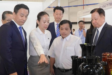 Dai bieu Nhat Ban tham quan he sinh thai doi moi sang tao o Binh Duong hinh anh
