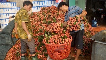 Nam toi, vai di My khong can 'qua canh' o mien Nam hinh anh