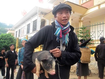 Mang... lon cap nach di canh tranh khi vao TPP? hinh anh