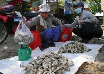 Thuong lai tranh mua nam rom Dong Nai hinh anh