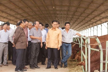 Thu hoi du an nghin ty cua Hoang Anh Gia Lai hinh anh
