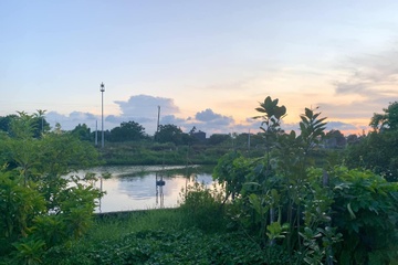 Hoi han ban 2 manh dat que van loay hoay chua mua duoc nha Ha Noi hinh anh