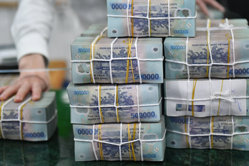 Ho, ca nhan kinh doanh nop hon 14.000 ty tien thue sau 5 thang hinh anh