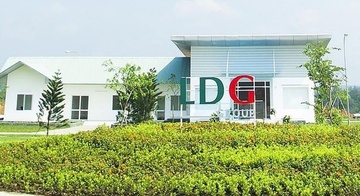 Co phieu LDG tang gap doi sau nua thang, cong ty noi gi? hinh anh