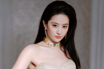 Luu Diec Phi bi chi trich hinh anh