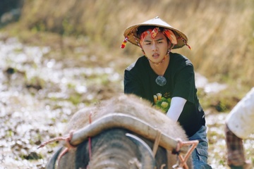 Dang sau hinh anh Duy Khanh, Jun Pham chan trau, cay ruong hinh anh