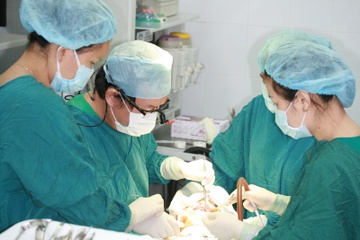 Phuc hoi chuc nang nhai bang cay implant xuong go ma hinh anh