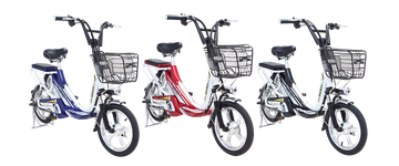 Terra Motors ra mat xe dap dien S250 pin Lithium tien ich hinh anh
