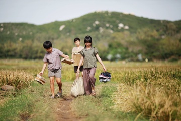 'Toi thay hoa vang tren co xanh’ len song truyen hinh hinh anh