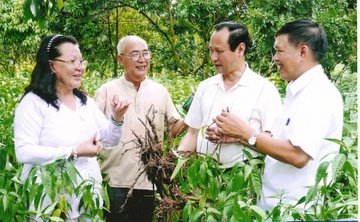 Tac dung khang viem cua cay hoan ngoc hinh anh