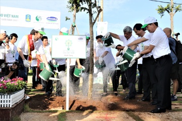 Hon 110.000 cay xanh duoc trong moi tai Ba Ria Vung Tau hinh anh