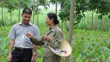 Ancan - giai phap tong hop thao duoc cho benh nhan u buou hinh anh