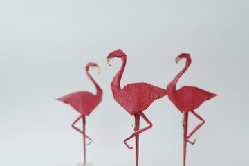 Ve dep nghe thuat origami qua trien lam 'Nhung doi canh' hinh anh