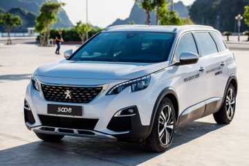 11 thang dau nam Peugeot ban ra 4.000 xe, tang truong 16 lan hinh anh