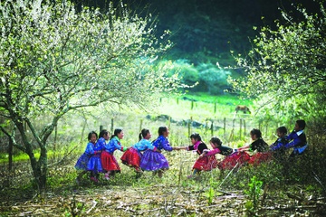 Ngam hoa Tay Bac dip dau nam hinh anh