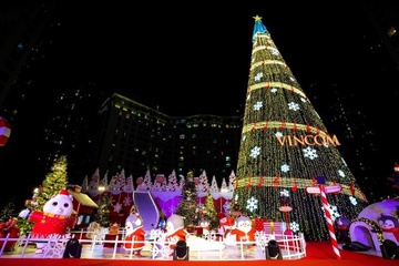 Thap sang cay thong Noel cao 30 m, bat dau mua le hoi cuoi nam hinh anh