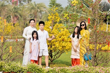 Kham pha le hoi hoa mai ruc ro tai TP.HCM hinh anh