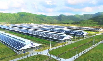 Che do cham soc bo sua nhap khau tai trang trai Vinamilk Green Farm hinh anh