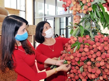 San TMDT va DN ban le 'bat tay' ho tro tieu thu vai thieu Bac Giang hinh anh
