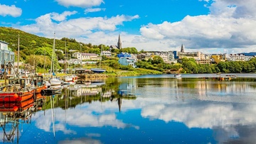 Dinh cu Ireland thong qua dau tu vien duong lao hinh anh