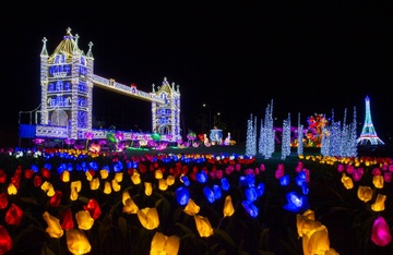 Hon 2.000 nguoi dang ky tham gia ‘Summer Festival 2022’ tai Phan Thiet hinh anh