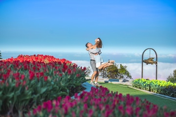Tham thu mien Trung dip Tet tai Sun World Ba Na Hills hay Asia Park hinh anh