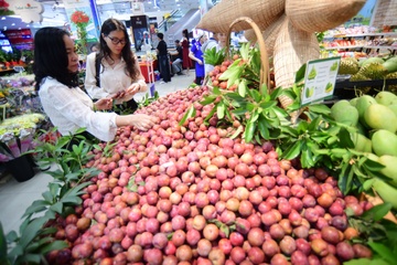 Co.opmart khai mac le hoi man hau va nong san tinh Son La hinh anh