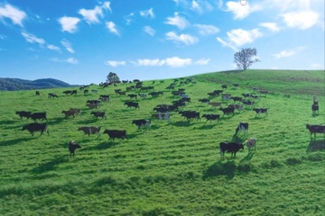 Tu noi khong khi sach nhat the gioi den ly sua nguyen ban '10 khong' hinh anh