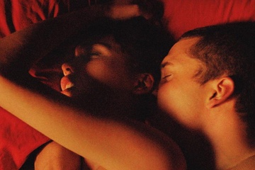 Phim 3D gay chan dong Cannes 2015 boi sex that hinh anh