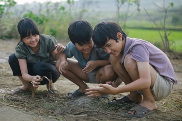 Bao My noi ve doanh thu ‘Toi thay hoa vang tren co xanh’ hinh anh