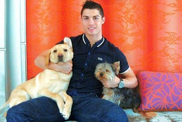 Ronaldo ra tay nghĩa hiệp cứu 80 chú chó - Hậu trường