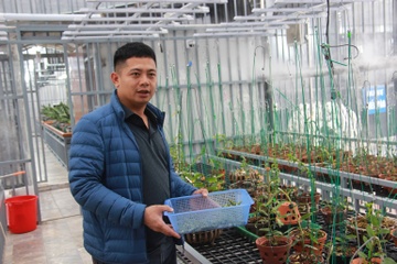 Chua phat hien sai pham vu giao dich lan dot bien gan 300 ty hinh anh