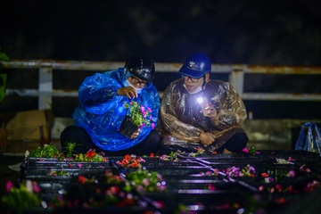 Tien lai ban hoa Tet khong du chi phi thue mat bang hinh anh